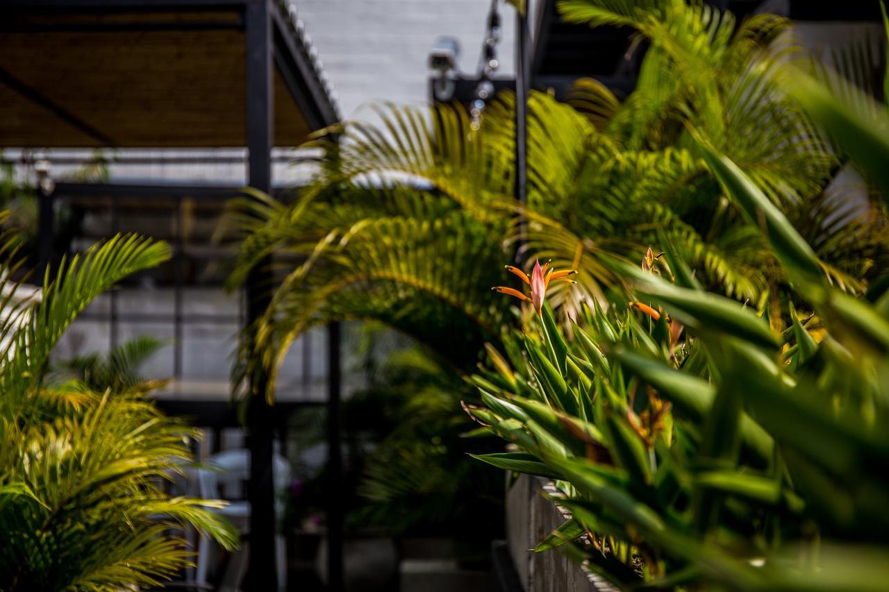 Alko Hotel Boutique Cali Εξωτερικό φωτογραφία